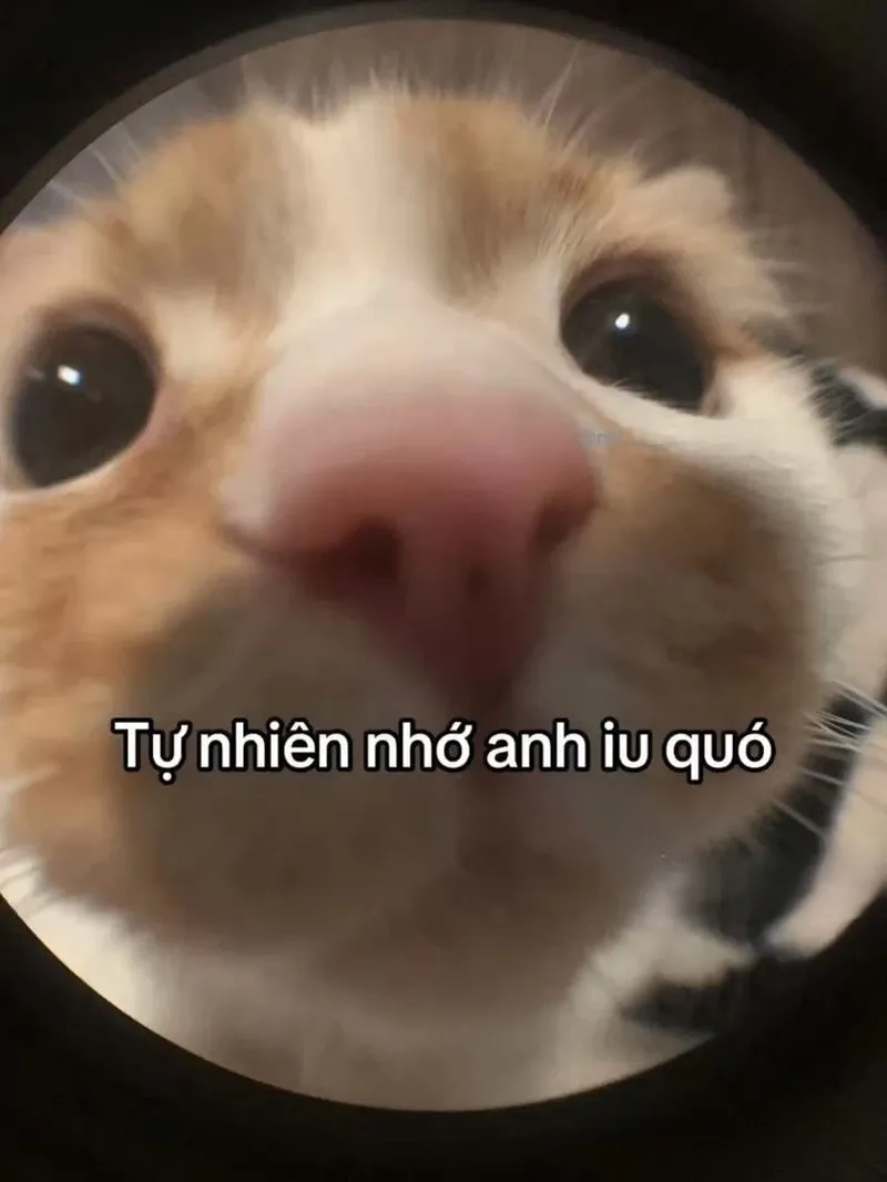 Chia sẻ meme này để tạo sự hài hước và thú vị khi không nhớ được điều gì đó.