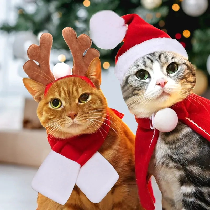 Meme mèo cầm súng sẽ khiến bạn bất ngờ với sự lầy lội và hài hước.