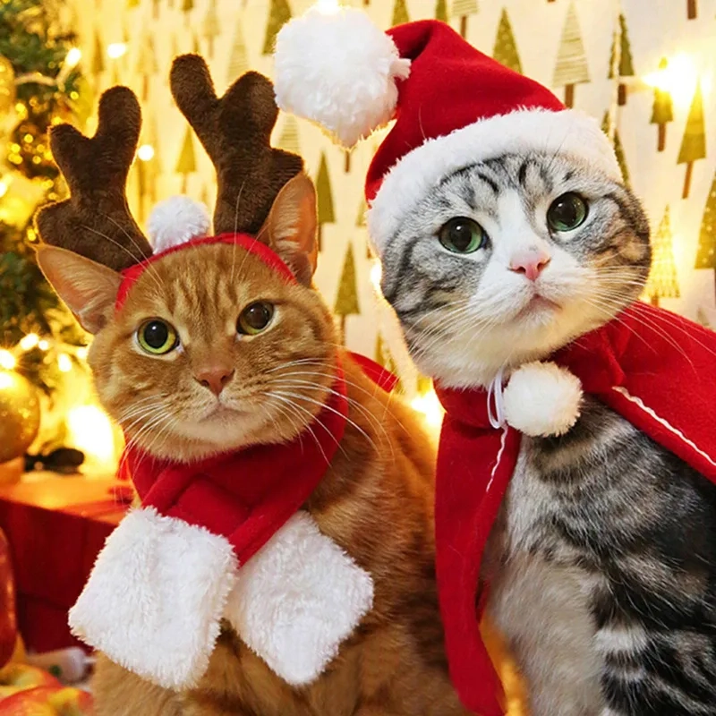 Meme Noel Miller mang đến tiếng cười cho bạn trong những ngày cuối năm.