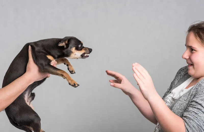 Tổng hợp biểu cảm sợ hãi đa dạng khiến meme này trở nên độc đáo.