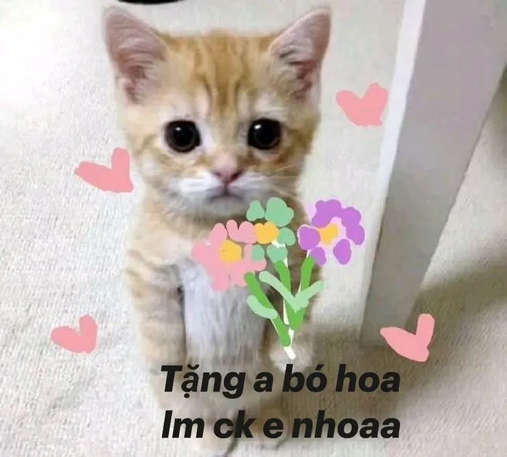 Meme tặng hoa hồng với biểu cảm dễ thương chắc chắn sẽ làm người nhận bật cười