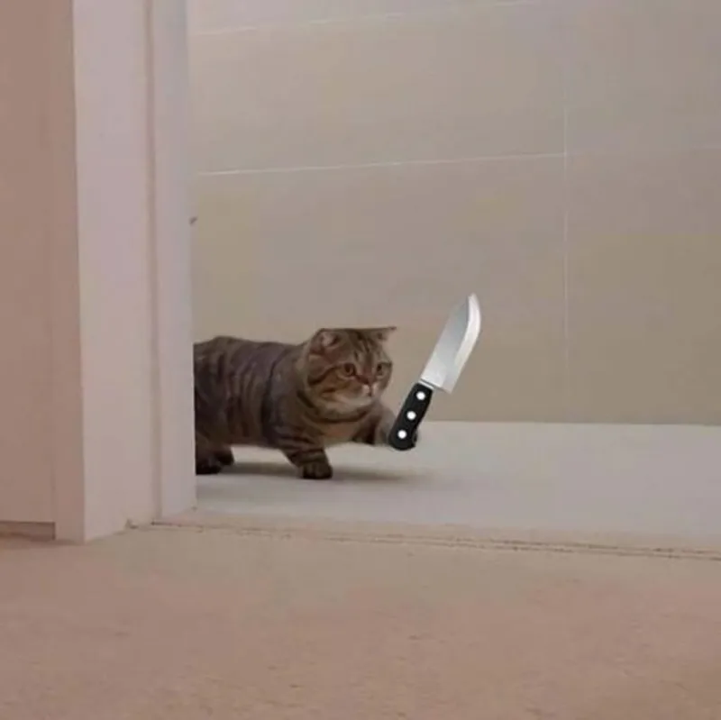 Meme gấu trúc cầm súng siêu độc lạ, kết hợp nét dễ thương và hài hước.