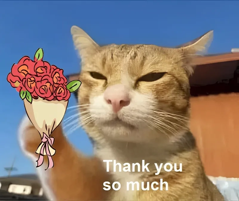 Lại thêm một meme cảm ơn nữa! Meme này vừa vui nhộn lại mang đến sự sáng tạo không ngừng.