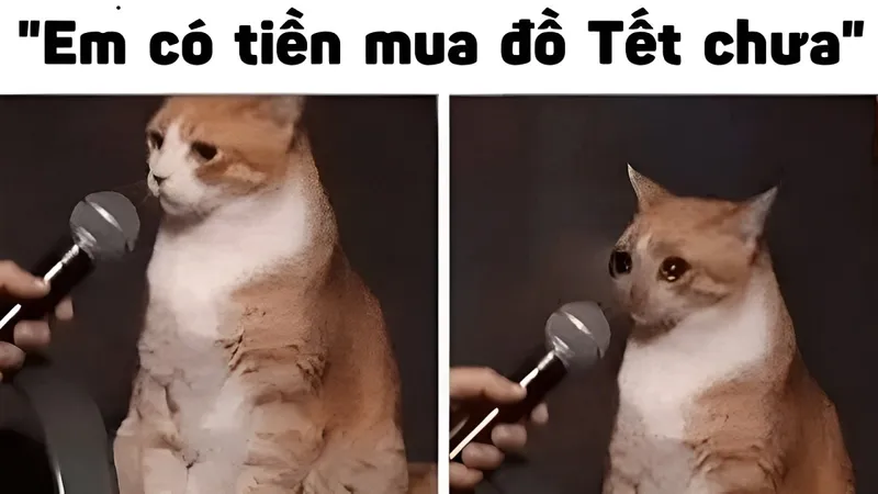 Không có tiền meme chính là tâm trạng của rất nhiều người trong cuộc sống hiện nay.