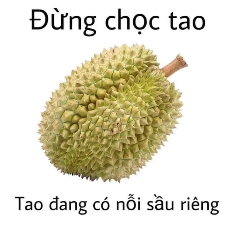 Bộ sưu tập hình ảnh meme tức giận ấn tượng, lý tưởng để diễn tả cảm xúc.