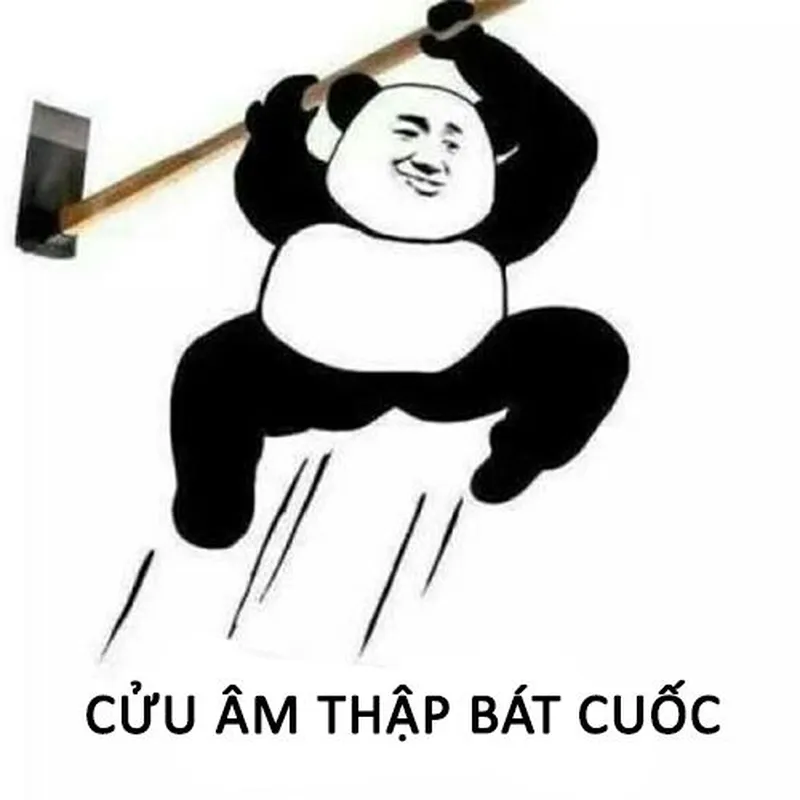 Những biểu cảm tức giận đáng yêu của mèo trong meme sẽ khiến bạn muốn chia sẻ ngay.