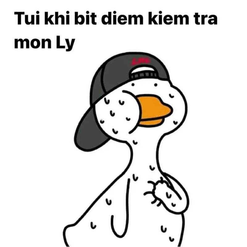 Tìm kiếm ảnh meme vịt hài hước, phù hợp mọi tình huống giải trí.