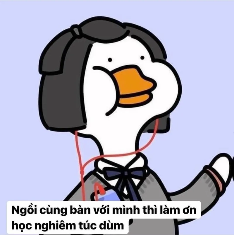 Ảnh vịt meme độc lạ, giúp bạn trở thành tâm điểm của cuộc trò chuyện.