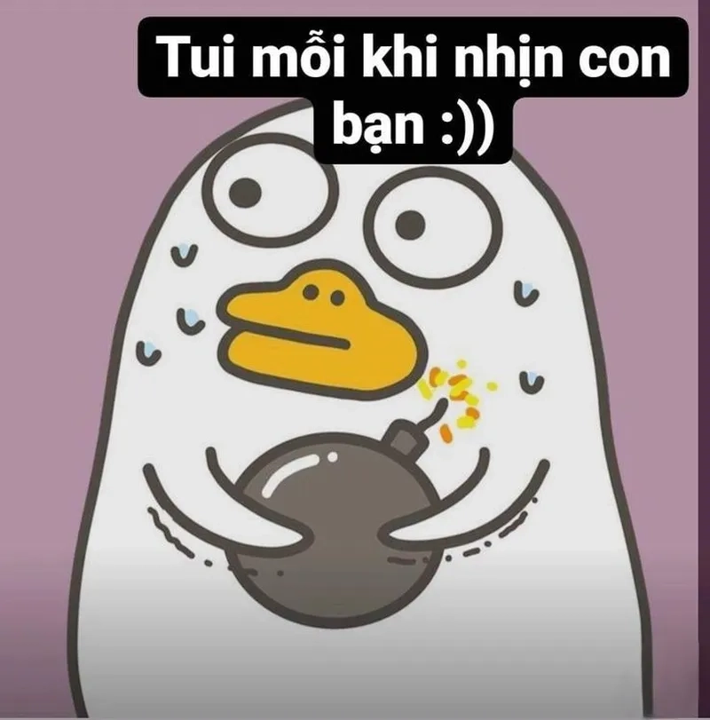 Bộ sưu tập meme ảnh vịt hài hước, cười xỉu tại chỗ.