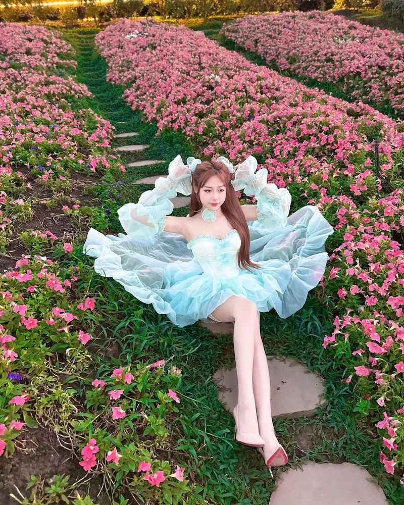 Ảnh mạng gái cute, thu hút sự chú ý với vẻ đẹp tự nhiên