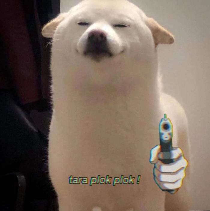 Meme chó hài hước với biểu cảm bá đạo không đỡ nổi