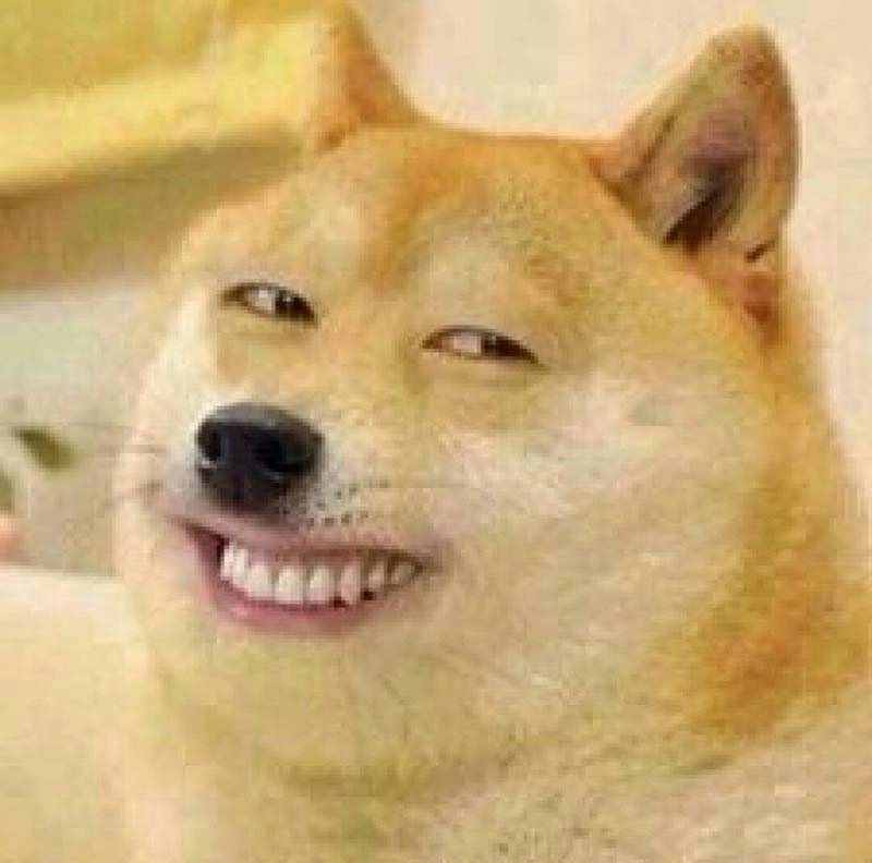 Meme hài chó siêu bựa lan tỏa niềm vui mỗi ngày