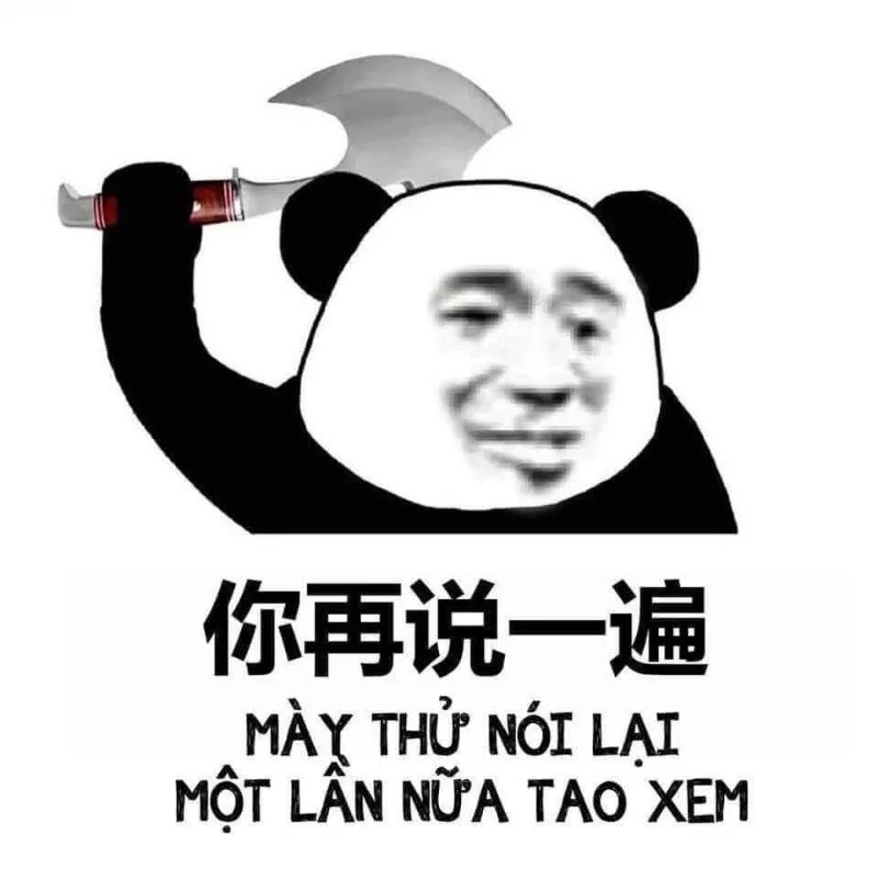 Ảnh meme gấu hài hước vui nhộn làm sáng ngày mới