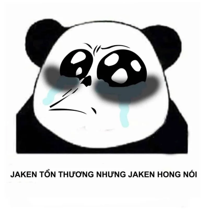 Meme gấu trúc hài mang phong cách dí dỏm khó đỡ