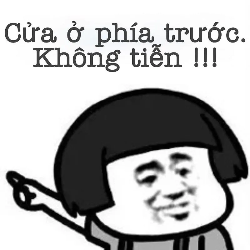 Meme gấu trúc hài hước khiến ai cũng phải bật cười