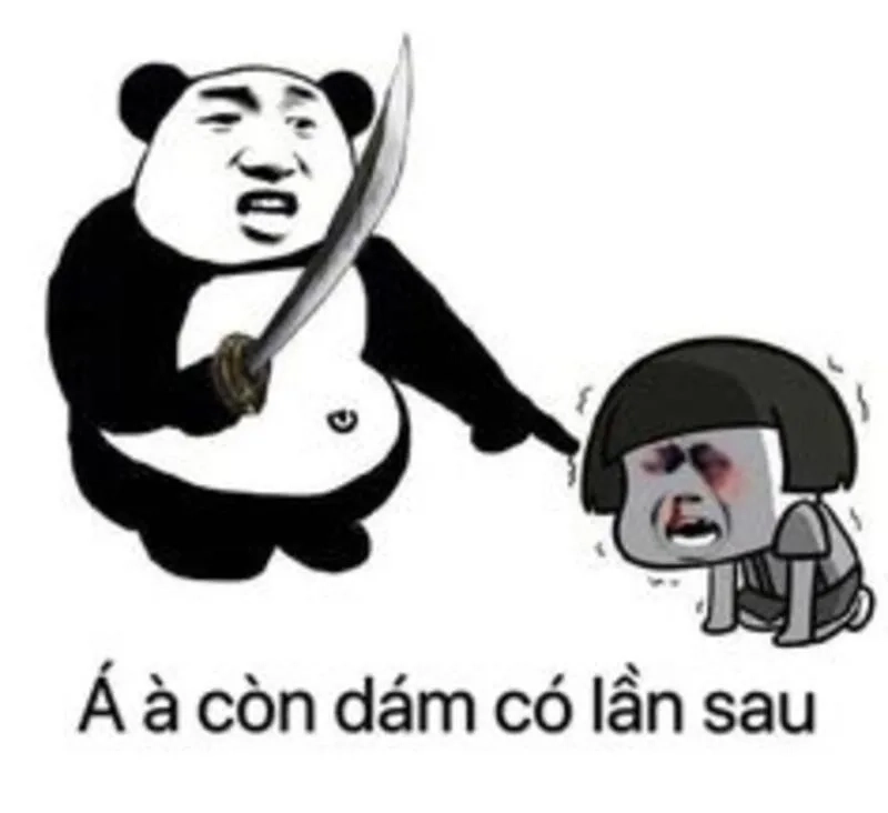Meme hài gấu trúc với gương mặt biểu cảm siêu ngầu
