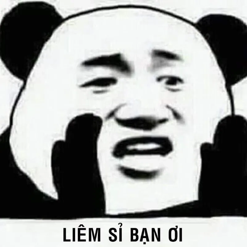 Ảnh meme hài gấu trúc lan tỏa niềm vui mỗi ngày