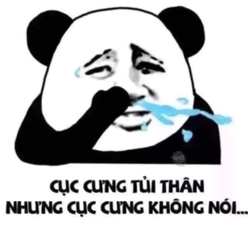 Ảnh meme hài hước gấu trúc cực chất và vui nhộn