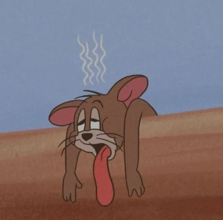 Avatar jerry meme độc đáo cho người hài hước