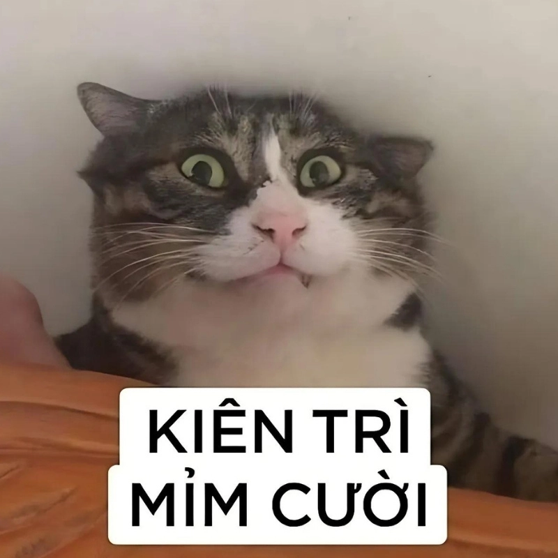 Meme cười ẻ với khuôn mặt vui nhộn cực bá đạo
