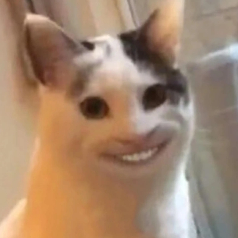 Meme mèo cười hehe đầy tinh nghịch và vui nhộn