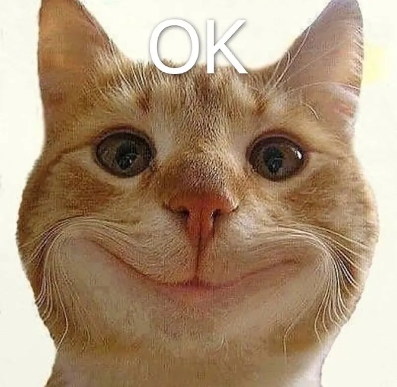 Mèo ok meme với biểu cảm hài hước đầy đồng ý