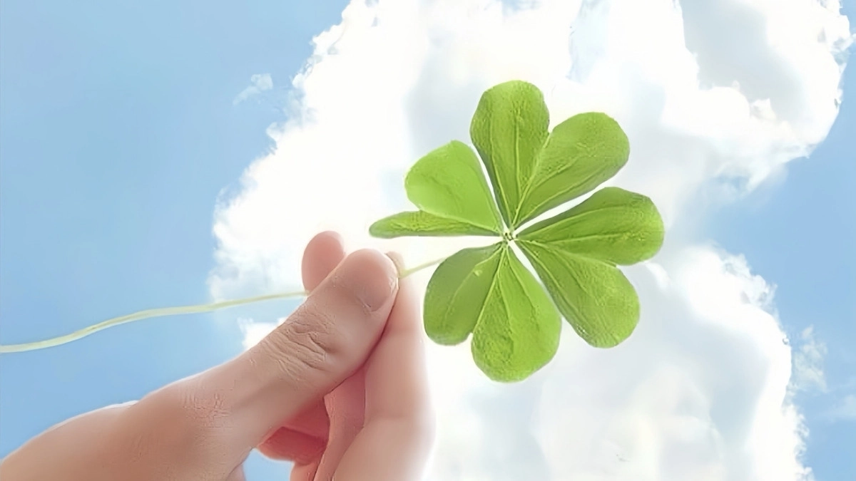 Ảnh may mắn làm hình nền giúp ngày mới tràn đầy hy vọng