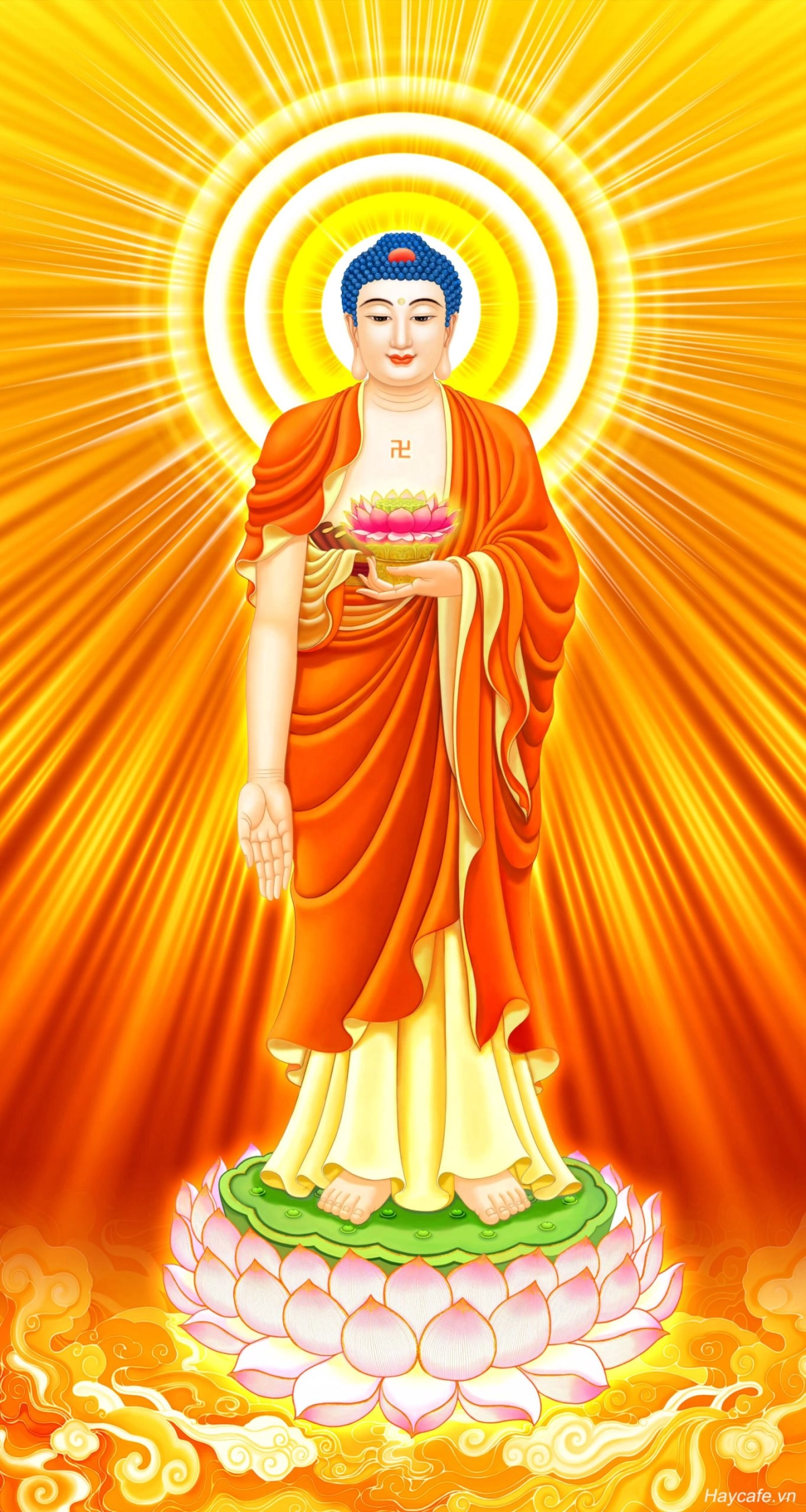 Phật A Di Đà hình ảnh thiêng liêng và thanh tịnh