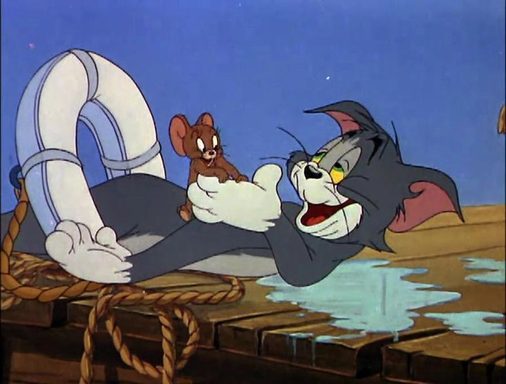 Tom và Jerry có con vịt với khoảnh khắc vui nhộn