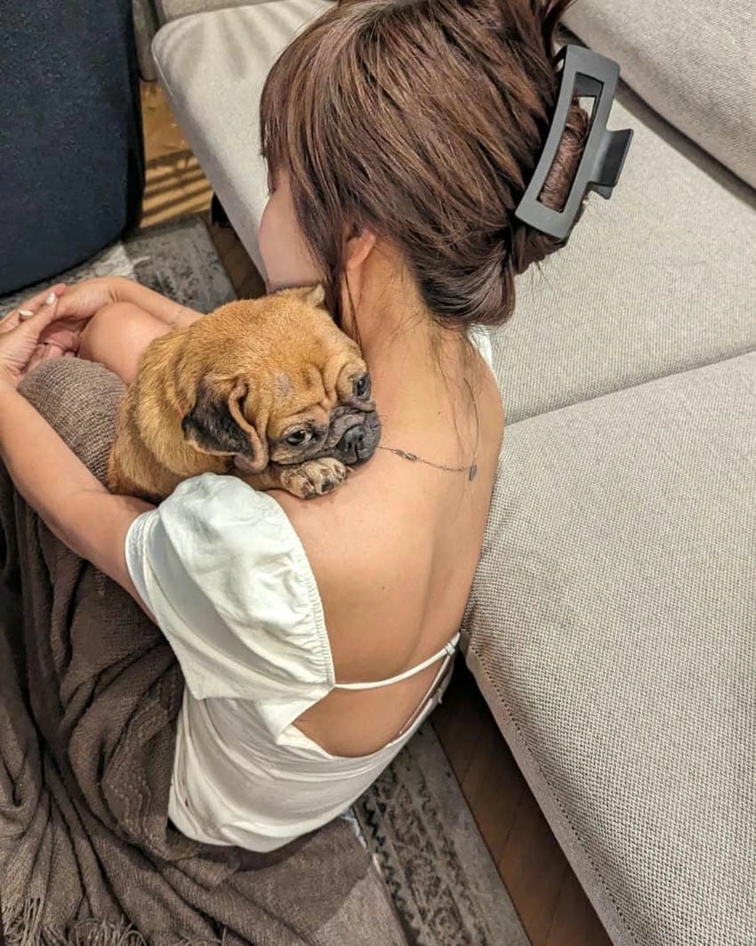 Ái Phương bài hát, từ Trót Yêu đến Đến Giờ Cơm