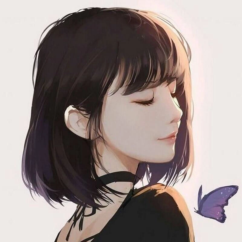Ảnh bìa cho zalo làm nổi bật cá nhân
