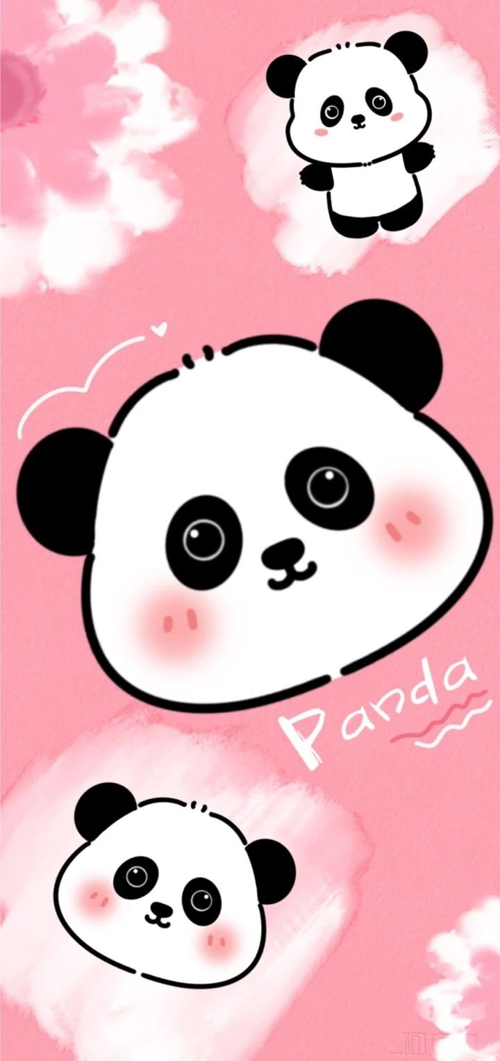 Cute chibi panda bear gấu panda chibi dễ thương