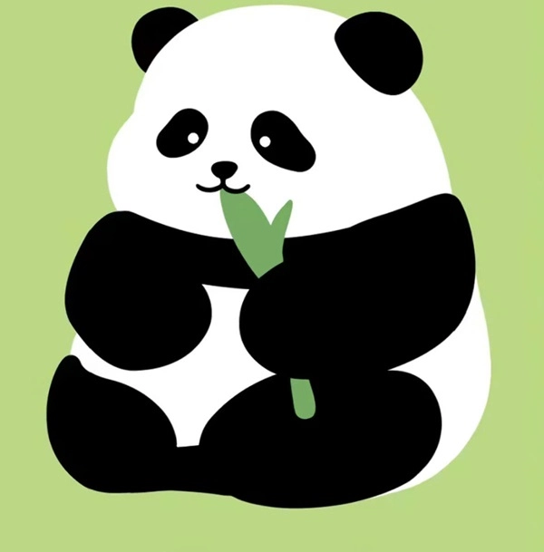 Mèo gấu trúc panda trong avatar rất độc đáo