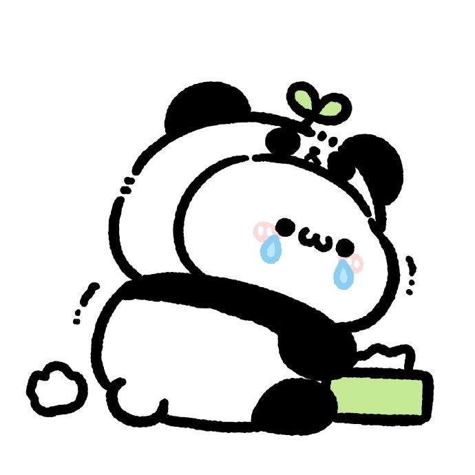 Gấu trúc avatar cute nhìn cực kỳ thú vị