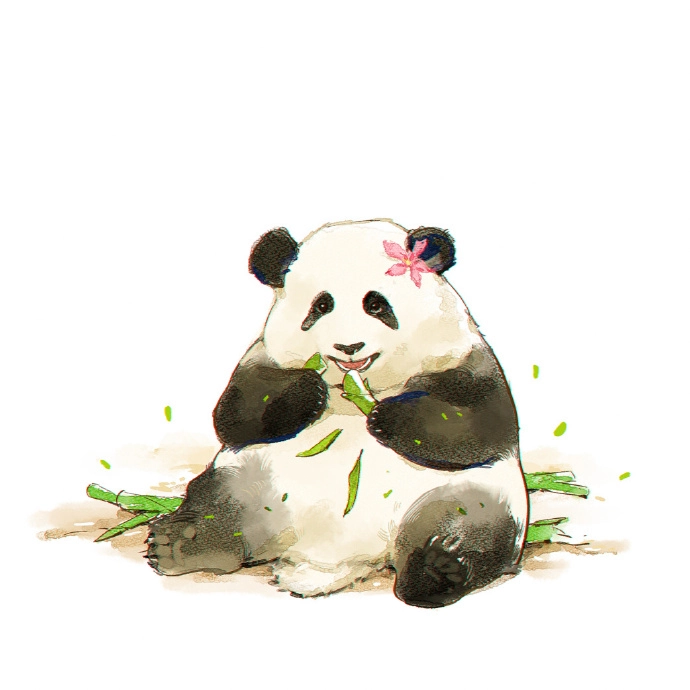 Avatar cute gấu trúc sẽ khiến mọi người ngạc nhiên