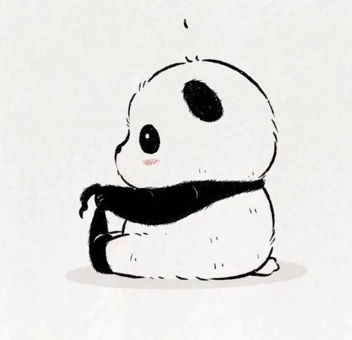 Gấu trúc avatar cute mang đến tài lộc cho chủ nhân