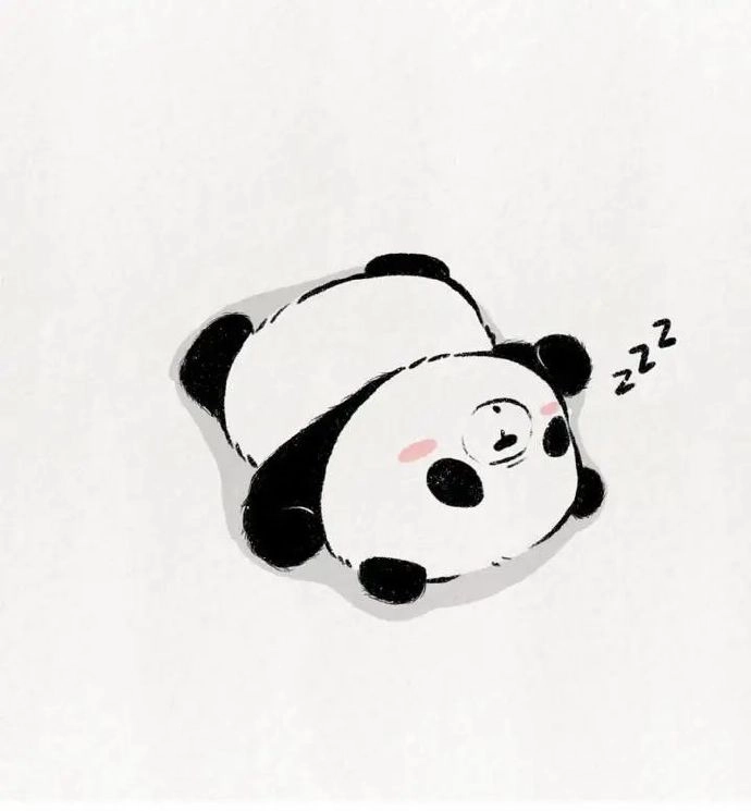 Gấu avatar cute dễ dàng tạo thiện cảm với người khác