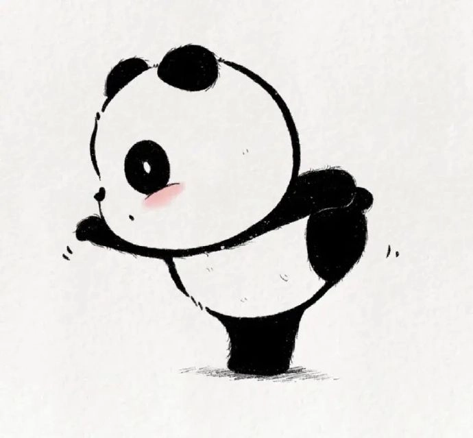 Hình đại diện con gấu cute cực kỳ dễ mến