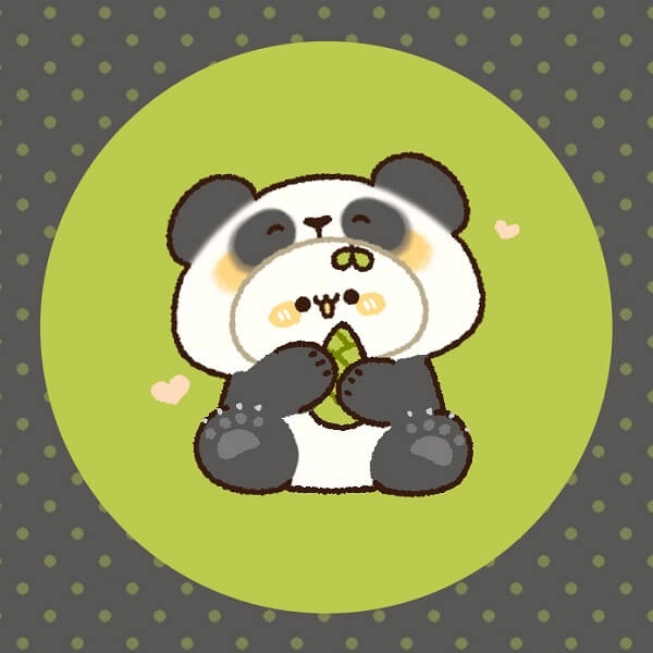 Avatar hình gấu cute luôn gây ấn tượng mạnh mẽ