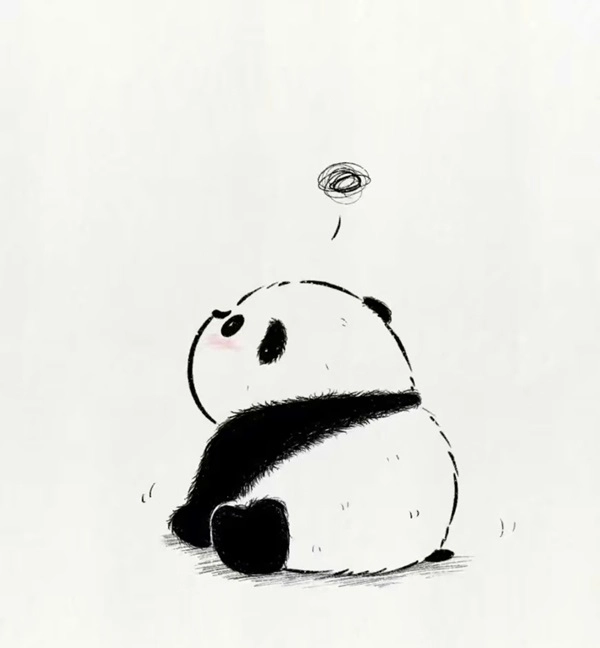 Ảnh avatar con gấu cute tạo ấn tượng dễ chịu, dễ thương