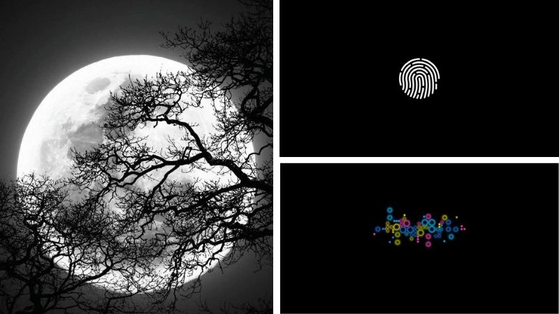 Hình nền đen tạo nên sự bí ẩn đầy cuốn hút