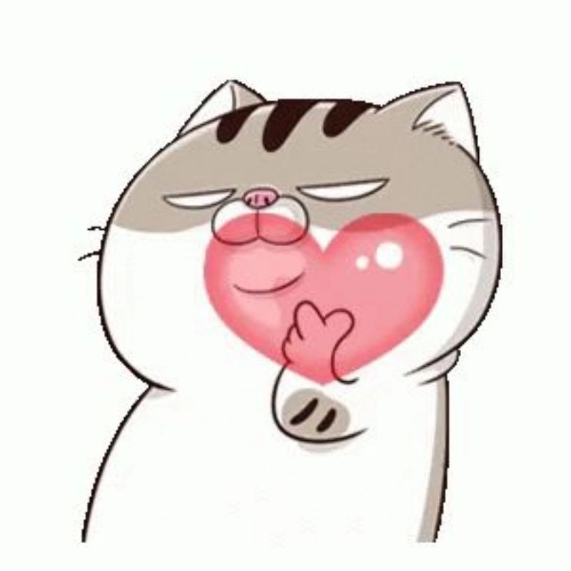 Avatar hình con mèo cute và hài hước
