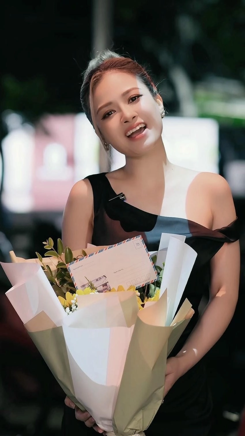 Dương Hoàng Yến quê ở đâu, Hà Nội gốc Bắc Ninh