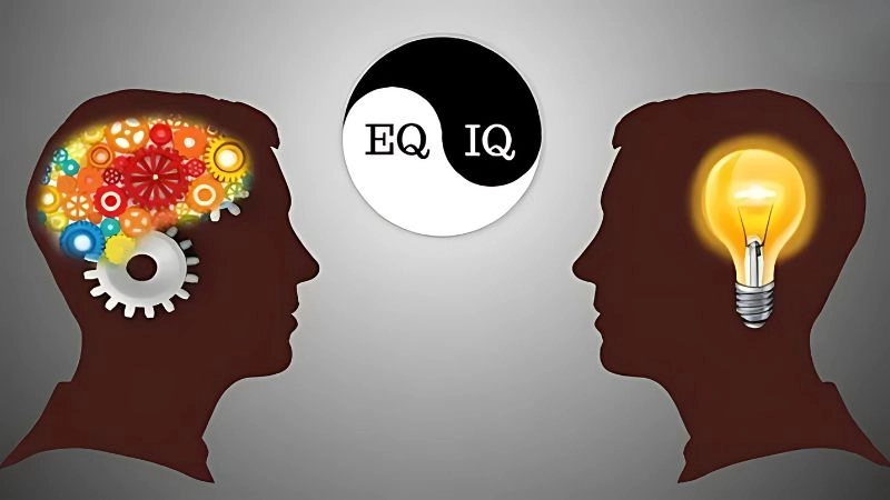 EQ cao là gì biểu hiện của người biết kiểm soát cảm xúc và thấu hiểu