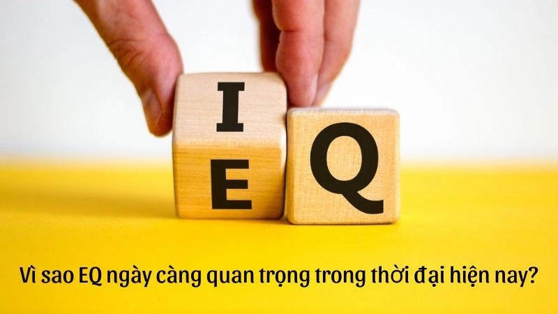 Chỉ số EQ là gì thước đo khả năng hiểu và quản lý cảm xúc
