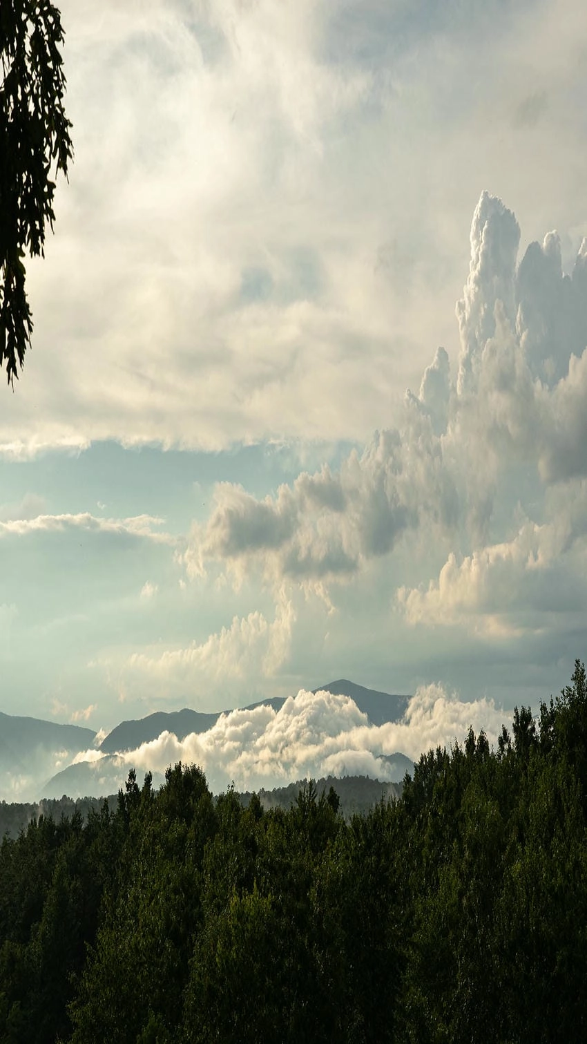 Hình ảnh bầu trời cho điện thoại tinh khôi ấm áp