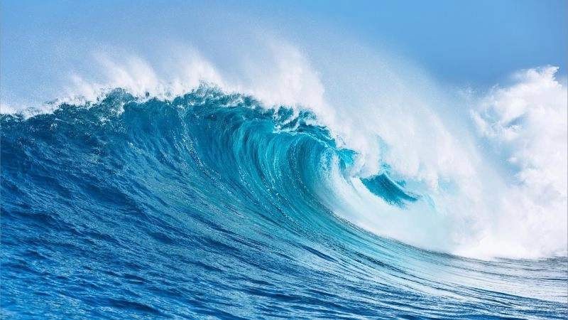 Hình ảnh nền biển đẹp dễ chịu