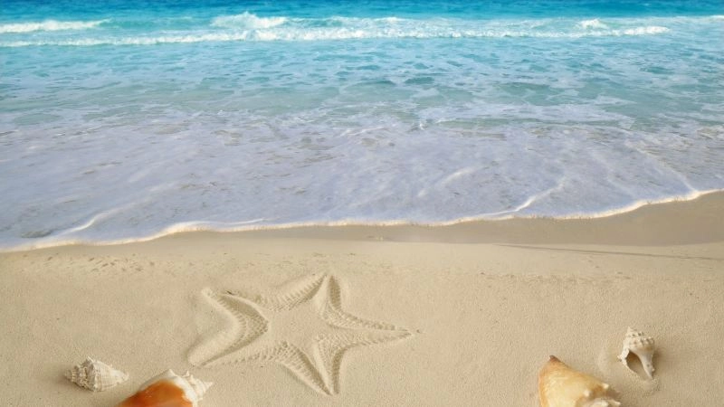 Ảnh biển đẹp làm hình nền yên bình