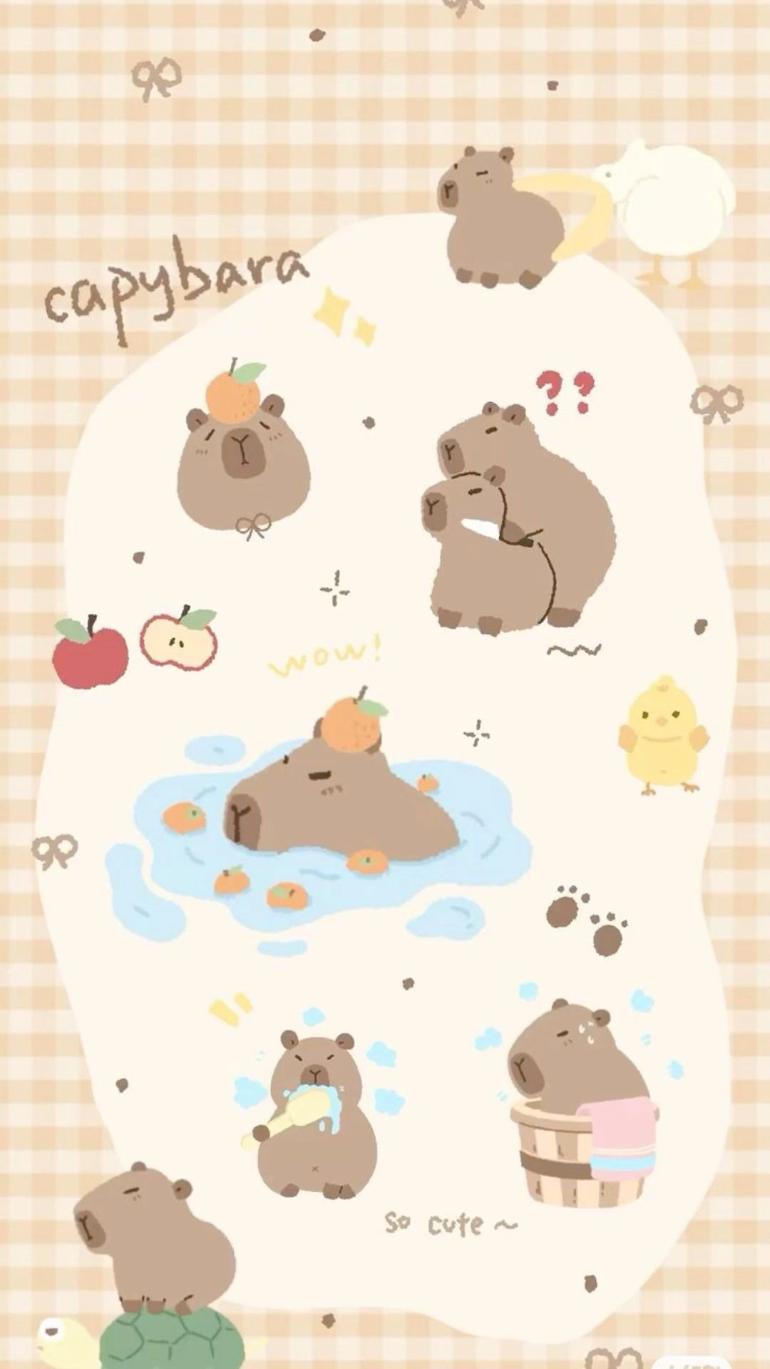 Hình nền Capybara avatar ngộ nghĩnh