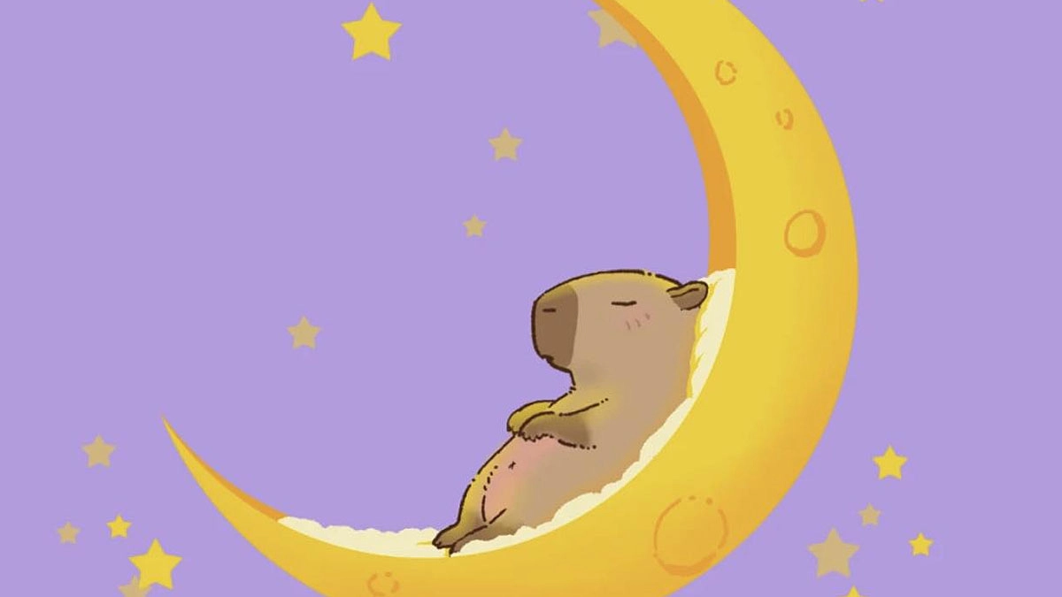 Hình nền Capybara cute cho máy tính